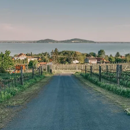 Georgina * باداتشونيتوماي